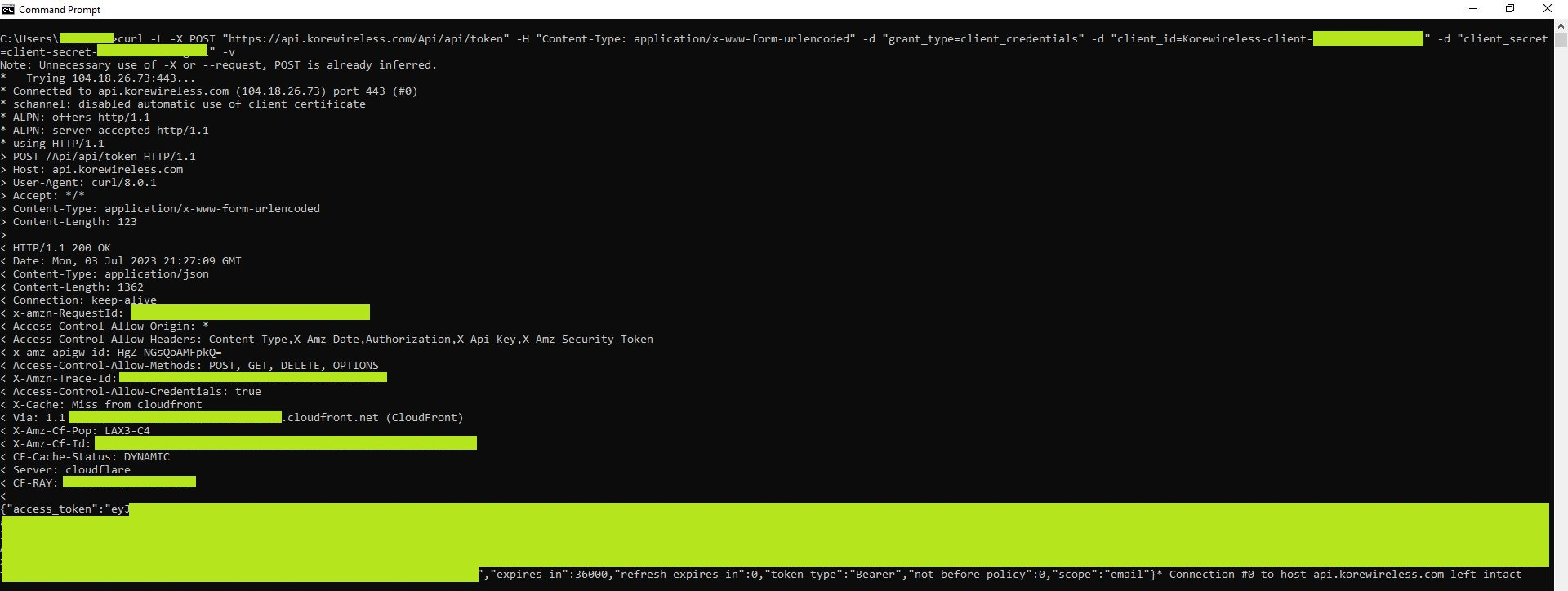 Terminal showing cURL response with authentication token and expiration time